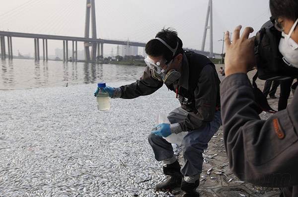 農(nóng)業(yè)部：天津大面積死魚(yú)因缺氧 未發(fā)現(xiàn)氰化物