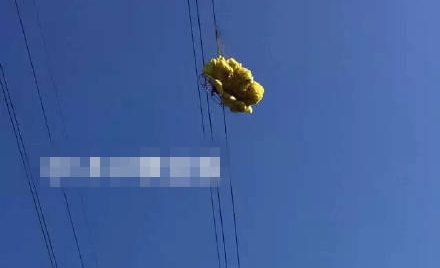 男子玩滑翔傘遇險(xiǎn)：掛在11萬伏高壓線上