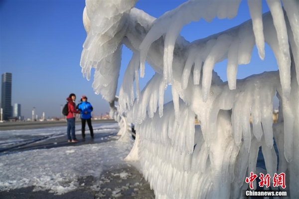 難得一見！大連海岸現(xiàn)冰掛奇觀：浪花結(jié)冰