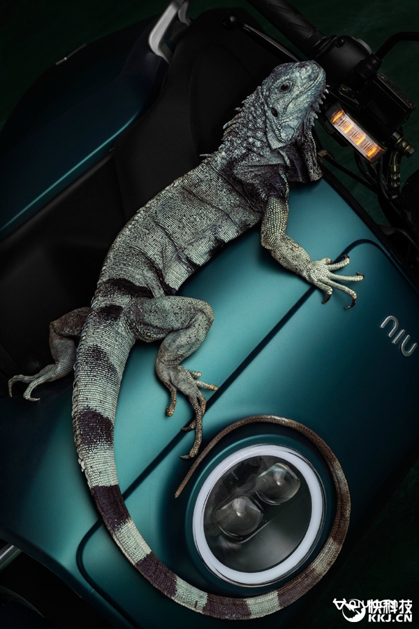 小牛電動車新版發布 價格真信仰！