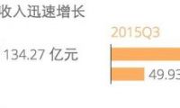 2015年12月國內網民地域分布12強：湖北躋身上榜