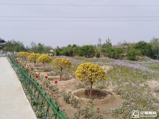 華為G9評測：與華為P9/榮耀V8定位不同