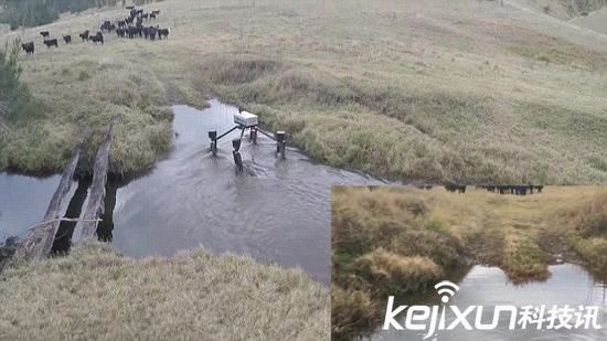 智能機器人農業(yè)應用：施肥殺蟲無所不能