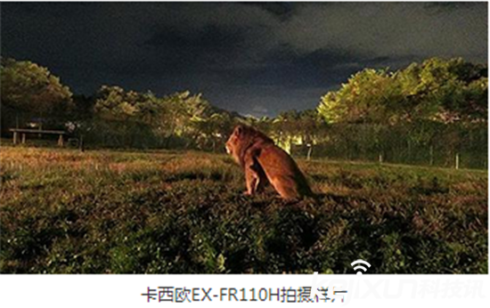 卡西歐推出新款相機(jī)：僅190像素 夜景拍攝神器