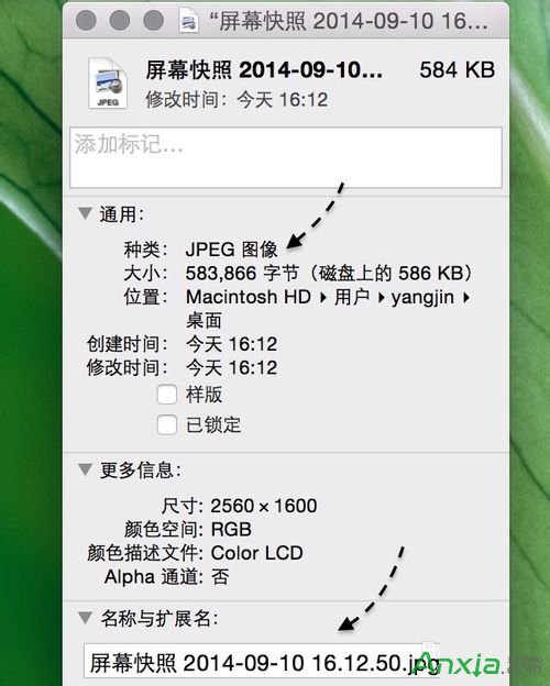 mac,蘋果電腦,mac截屏圖片更改成JPG格式,mac截屏圖片更改成jpg格式,mac png轉jpg格式,mac jpg格式,mac轉jpg格式