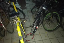 兩名護士給ofo共享單車上鎖 處盜竊罪被行政拘留5日