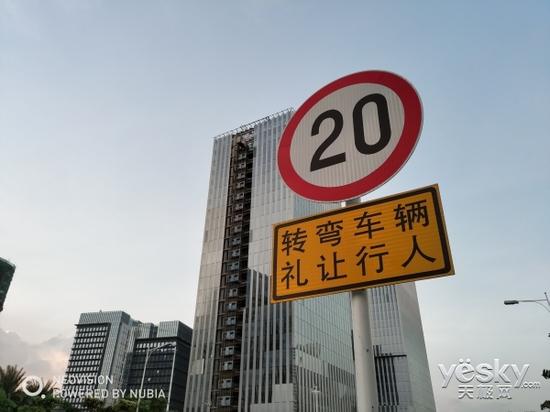 標準樣張