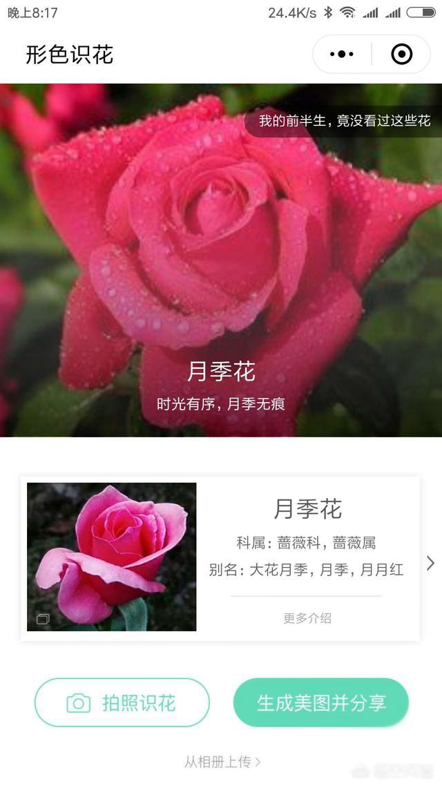 好玩的微信小程序有哪些？十款實(shí)用微信小程序推薦