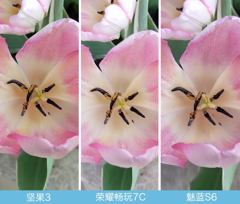 堅(jiān)果3、榮耀暢玩7C、魅藍(lán)S6拍照樣張對(duì)比 千元機(jī)拍照哪個(gè)好?