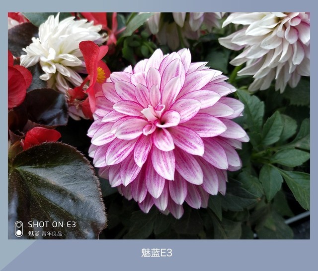 360N7、魅藍(lán)E3、紅米Note5對比評測 千元強(qiáng)機(jī)你選誰？