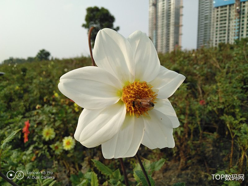 聯(lián)想K5 Pro