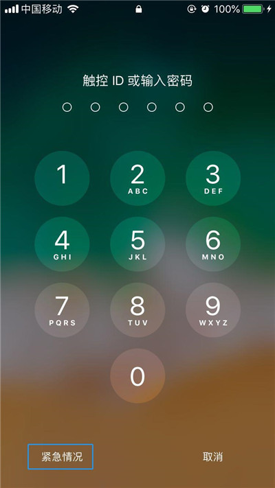 iPhone XR/XS Max醫療急救卡信息如何查看?